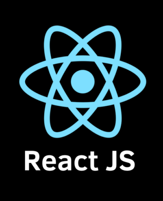 React Js web development